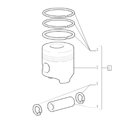 5093010 - поршень